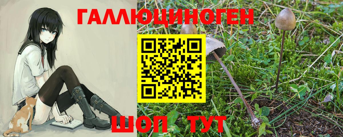 Псилоцибиновые грибы MAGIC MUSHROOMS  Вход с VPN  Галлюциногенные грибы прущие грибы  Нефтекамск 
