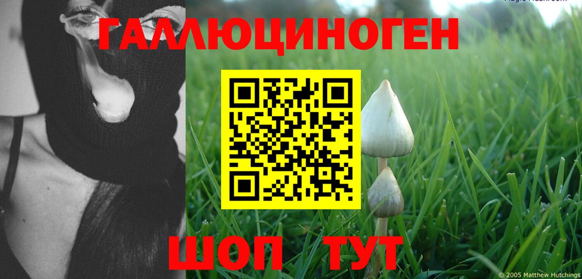 Нефтекамск  Гашиш  Каннабис  Меф МЯУ МЯУ  COCAIN  Вход с VPN  Меф МЯУ МЯУ  